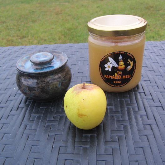 Mesi 500g ja tops kosmos