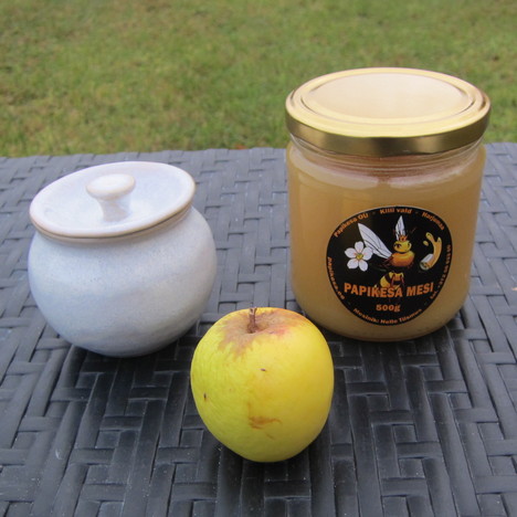 Mesi 500g ja valge tops