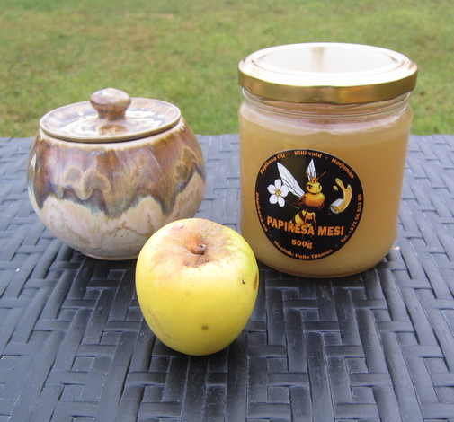 Mesi 500g ja meepott 6